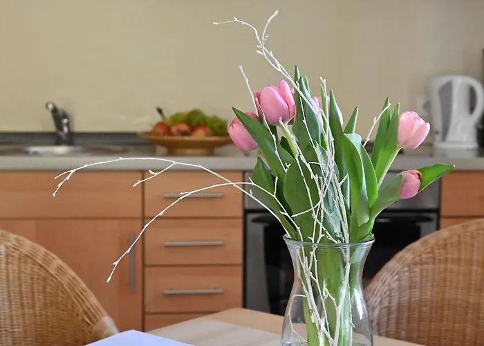 Apartment Celia By Interhome Sellin (Rugen)